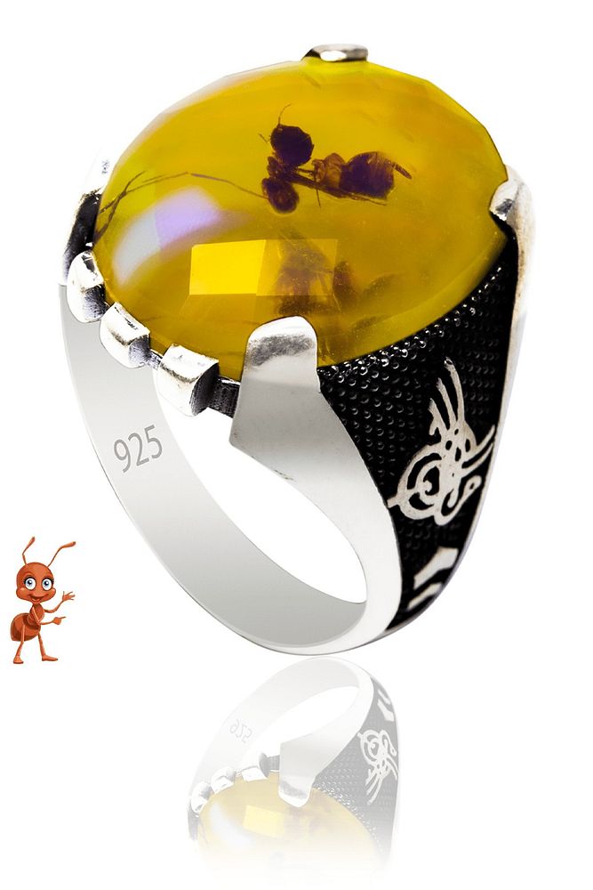 Sertifikalı Karınca Fosilli Osmanlı Tuğralı Kehribar Taşlı 925 Ayar Gümüş Yüzük