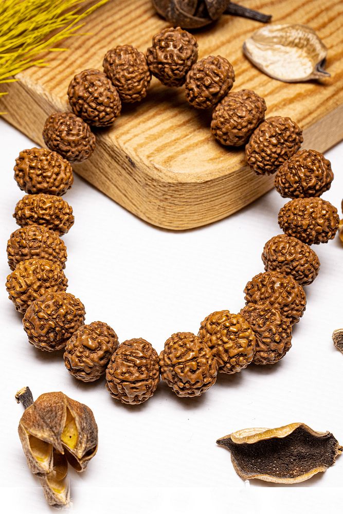 Sertifikalı Rudraksha Tohumu Bileklik