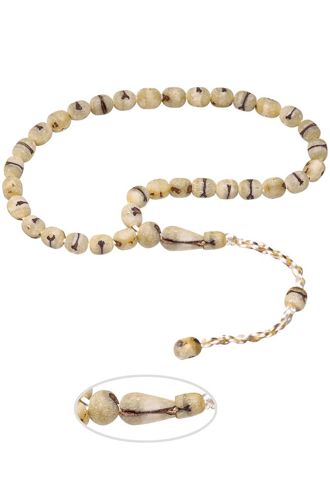 Sistemli Dört Parmak Boy Kapsül Kesim Acve Hurma Çekirdeği Tesbih