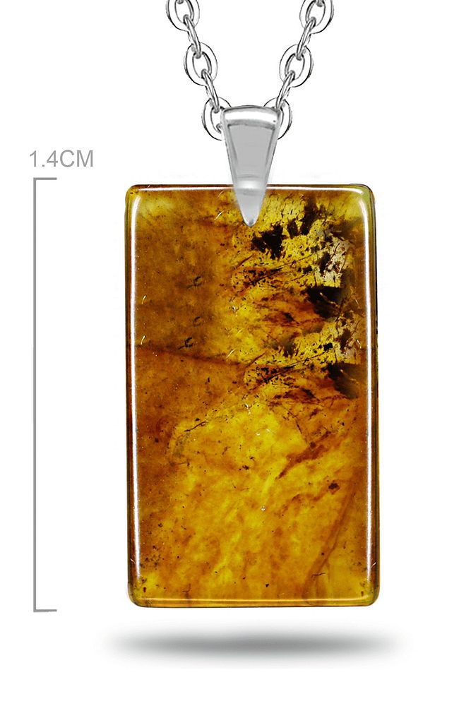 Sertifikalı Doğal Fosilli Damla Kehribar Kolye