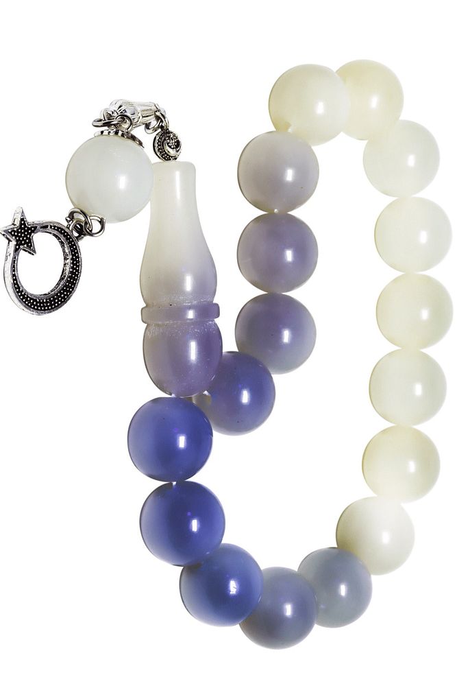 Güneşte Renk Değiştiren Maskot Mavi Bukalemun Efe Tesbih