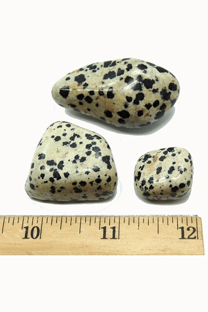 Sertifikalı Dalmaçyalı Jasper Taşı Doğal Taş Kütle 3 Adetli