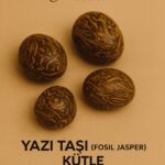 Sertifikalı Yazı Taşı (Fosil Jasper) Kütle 20–30 mm Köklenme Bilgelik ve Güç Enerjisi Taşı