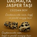 Sertifikalı Dalmaçya Jasper Taşı Kütle 10-15 mm – Neşe Keyif ve Denge Enerjisi Taşı
