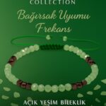 Sertifikalı Bağırsak Uyumu Frekans Bilekliği - Açık Yeşim Terahertz Doğal Taş 4 mm