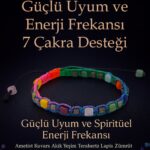 Sertifikalı Güçlü Uyum ve Spiritüel Enerji Frekansı – 7 Çakra Doğal Taş Bilekliği Ayarlanabilir
